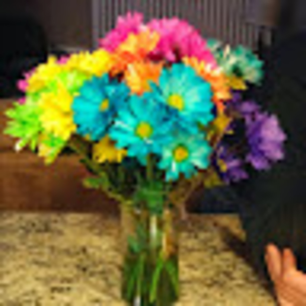 Meet your Posher, Rhonda